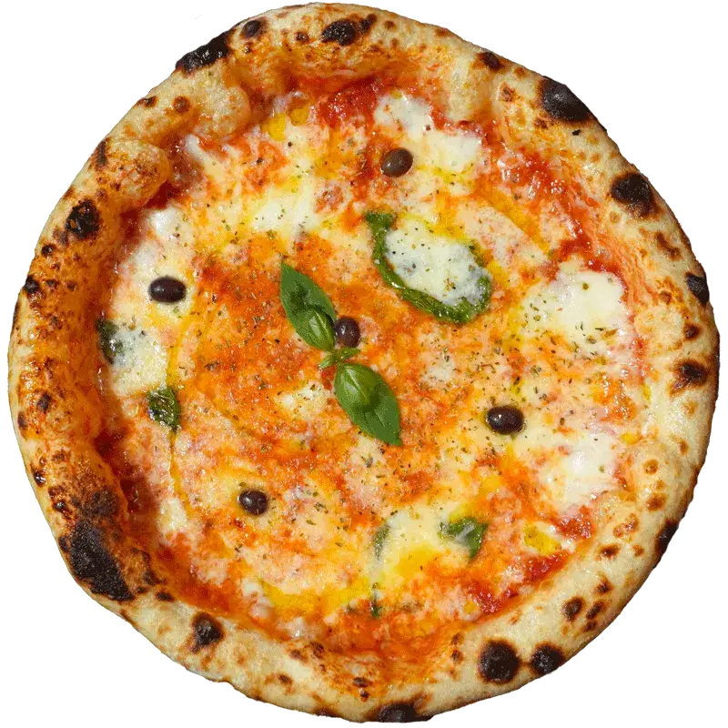 pizza-marguerite-levelina